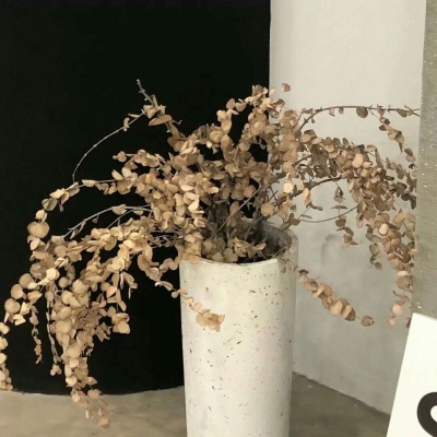 Furry绘画避坑实用指南兽圈社群